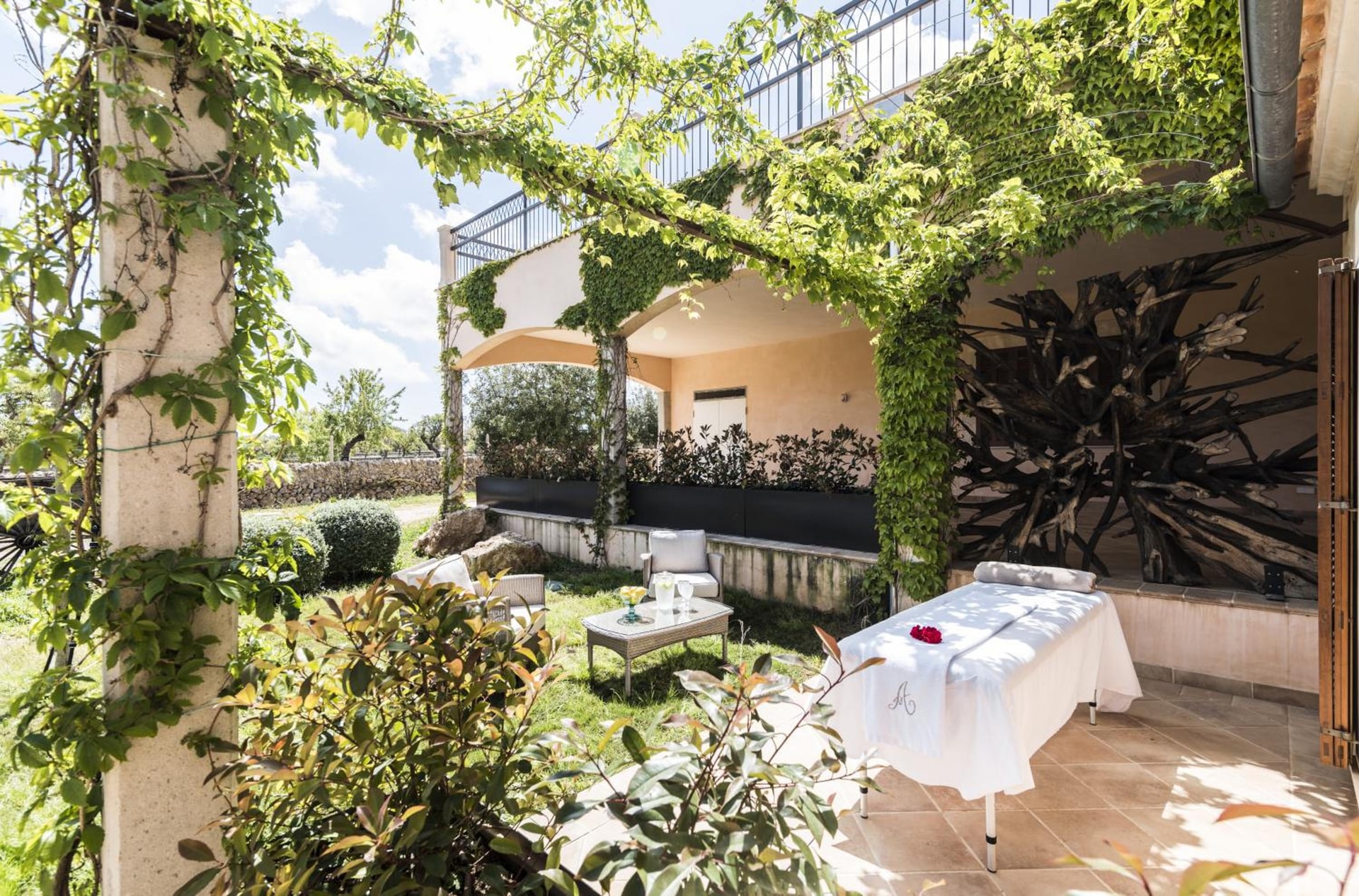 balance & terrace