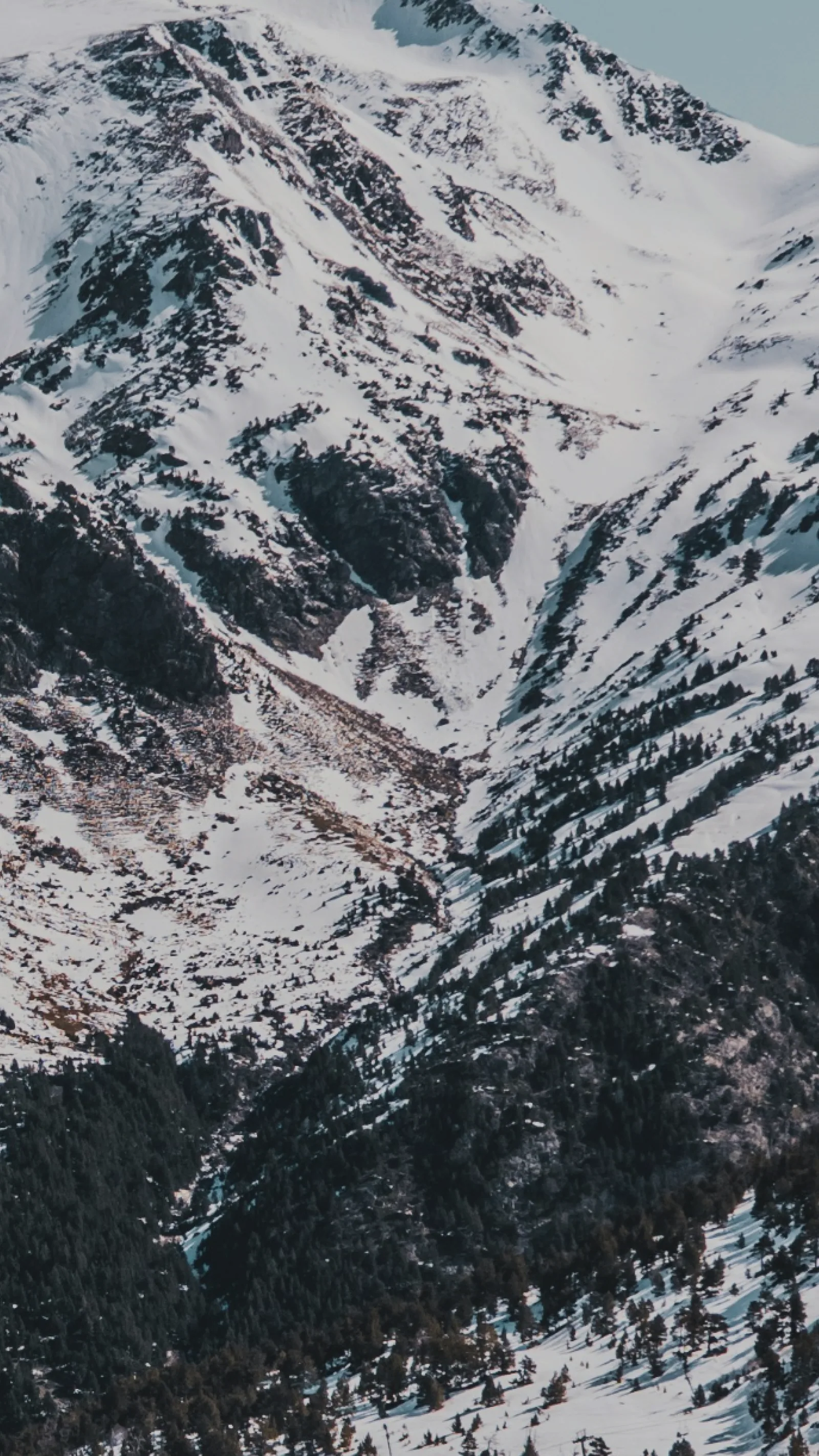 Ordino